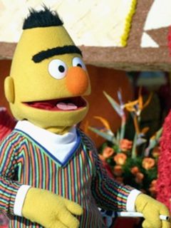 sesam_bert.jpg